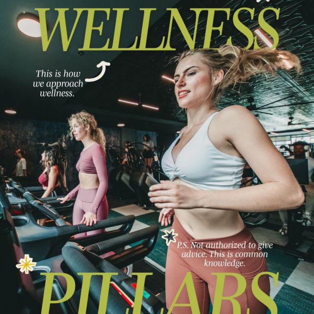 wellness should fit into your day, not compete with it. 🧘‍♀️✨

classes + content made to move with you, whenever you need it. - in your resident app
