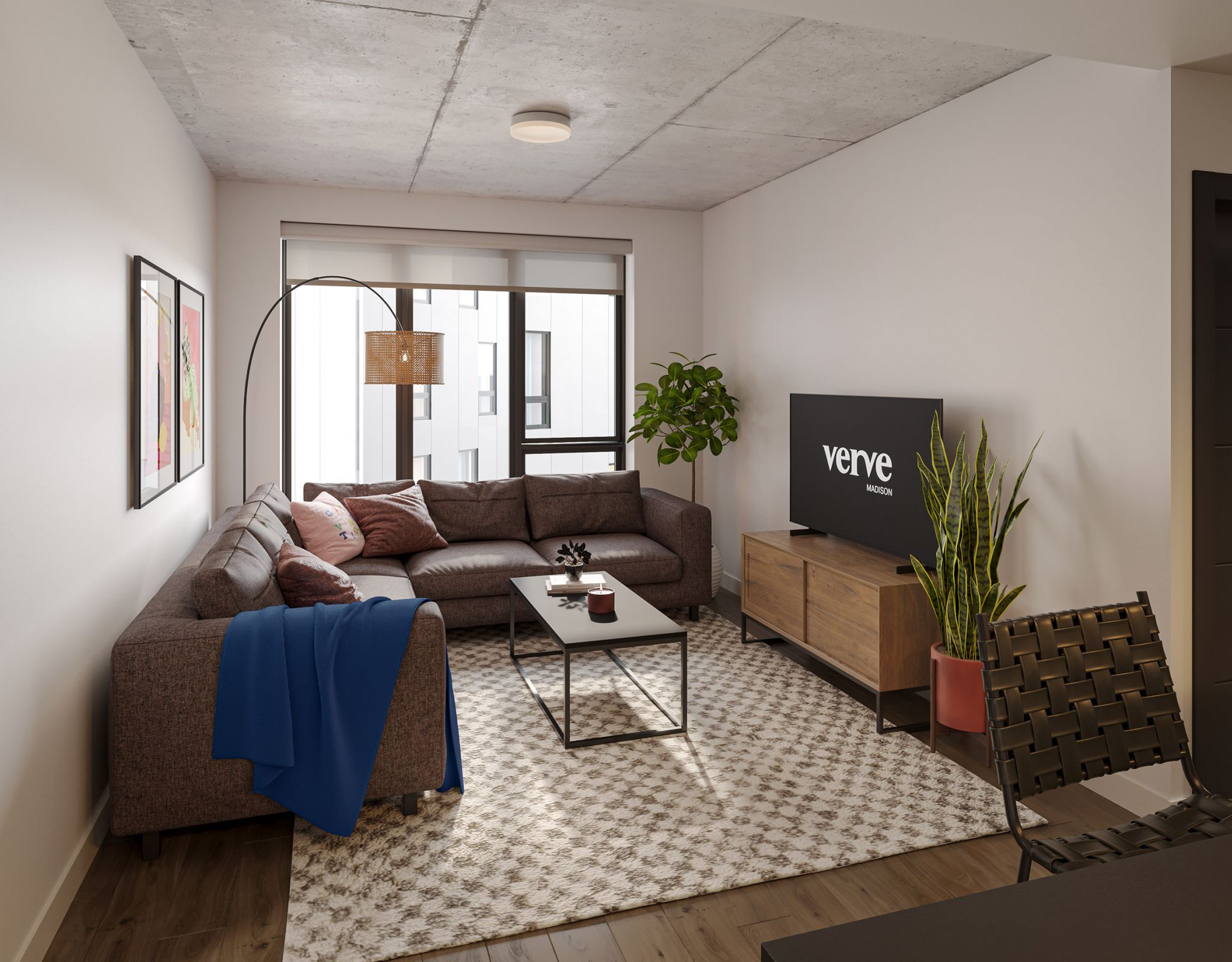 verve madison living room